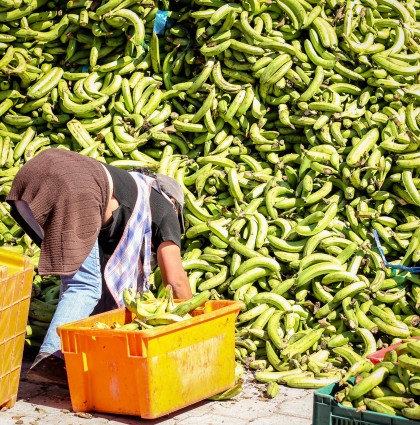 Le marché de Saquisili