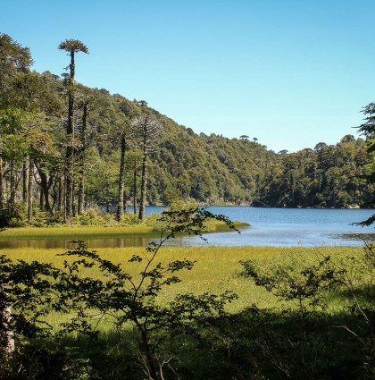 Pucon, prémices patagoniennes…